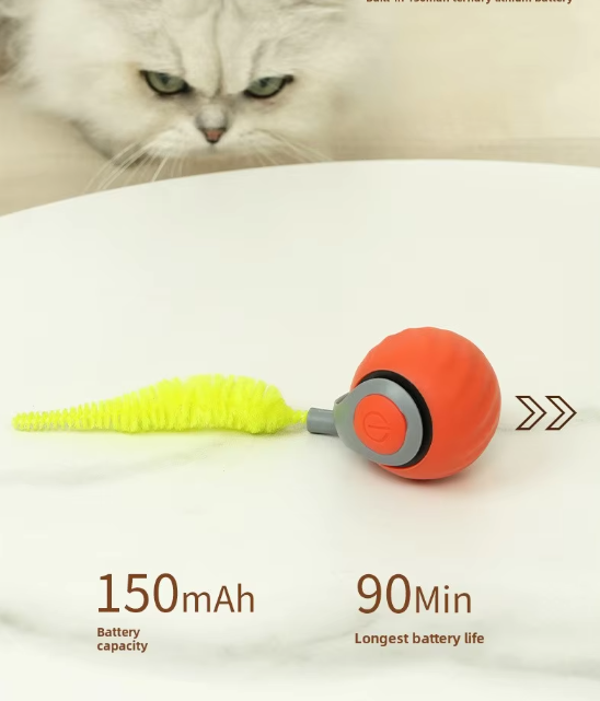 Jouet interactif pour chat à mouvement automatique