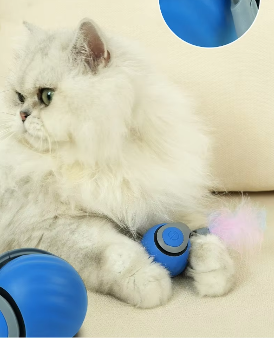 Jouet interactif pour chat à mouvement automatique