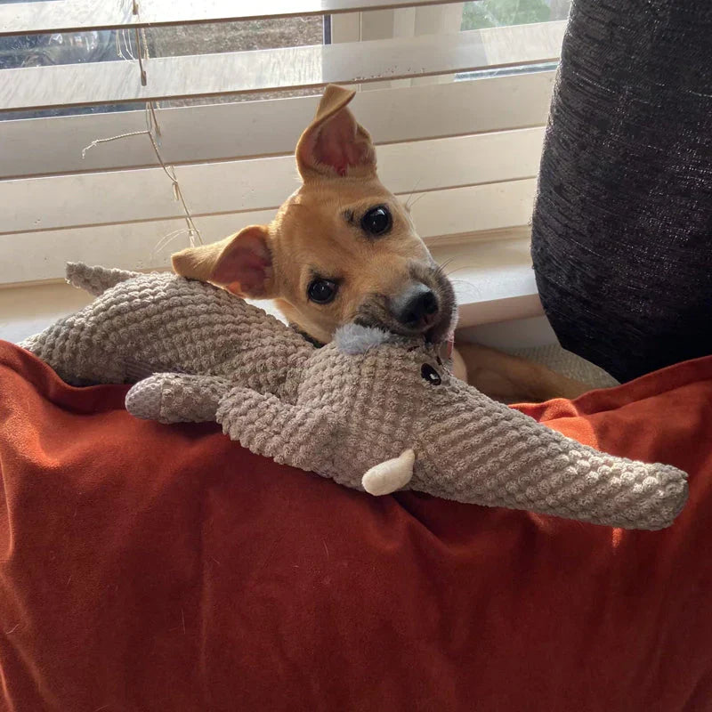 Jouet à mâcher pour chien, forme lion, loup ou éléphant