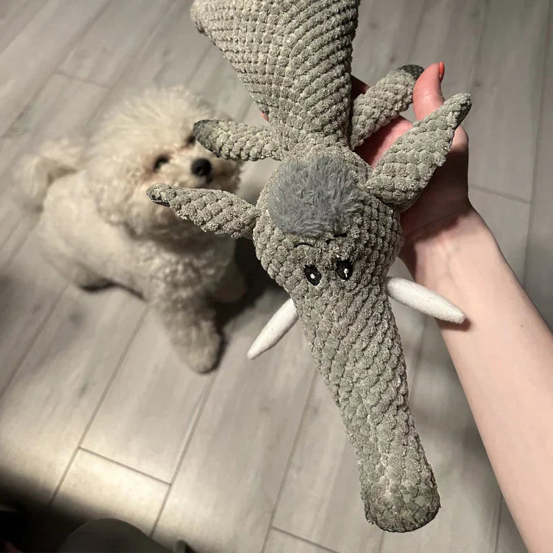 Jouet à mâcher pour chien, forme lion, loup ou éléphant