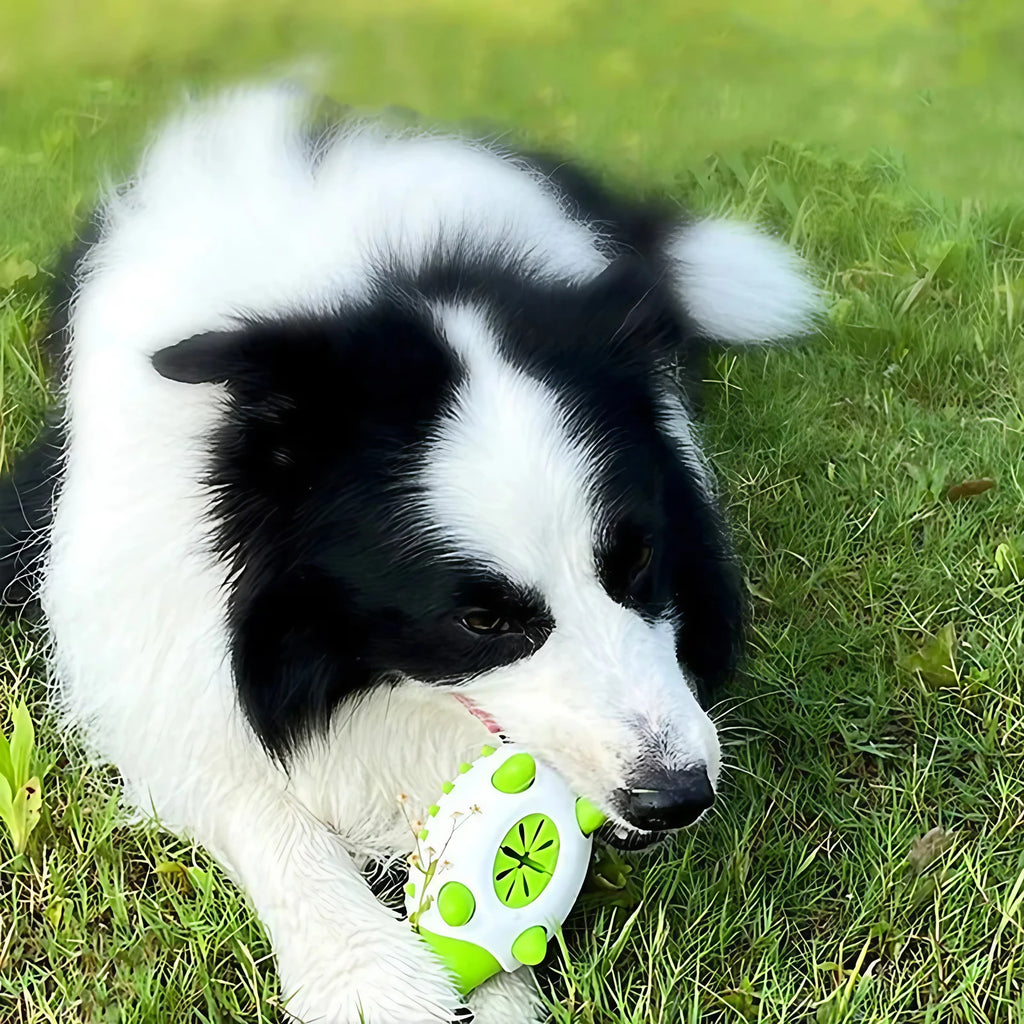 Jouet distributeur de friandises pour chien, à mâcher