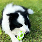 Jouet distributeur de friandises pour chien, à mâcher
