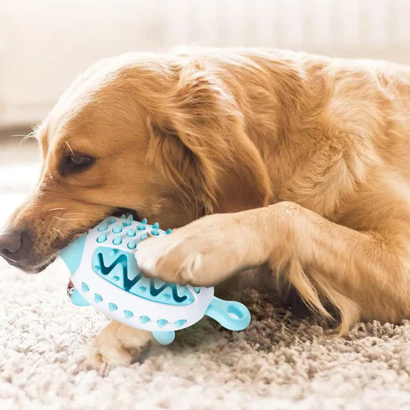 Jouet distributeur de friandises pour chien, à mâcher