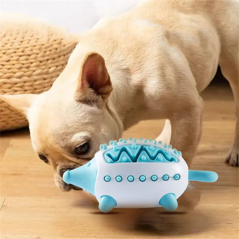 Jouet distributeur de friandises pour chien, à mâcher