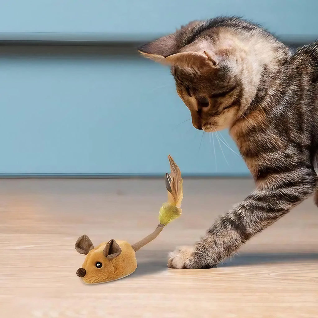 Souris électrique pour chat, jouet à piles en mouvement, marron