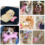 Lot de jouets à mâcher pour chiot, peluches, cordes et anneaux