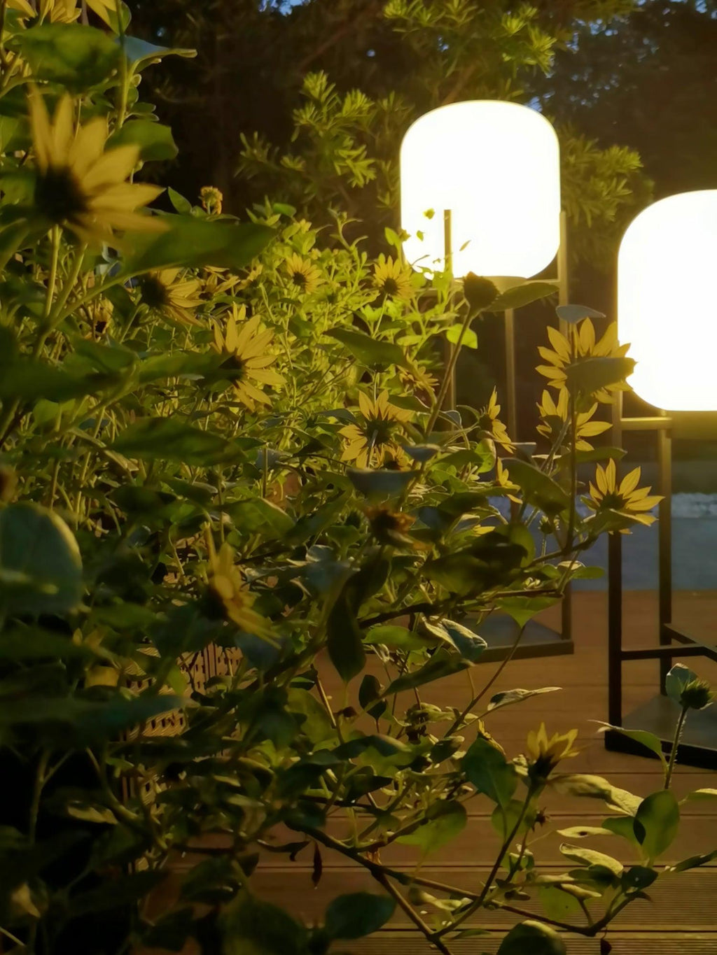 Lampadaire d'extérieur solaire ou filaire, acier et verre, IP65