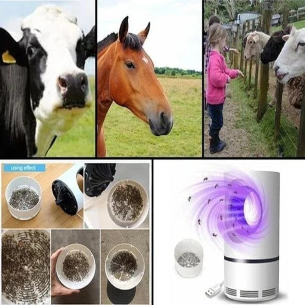 Lampe anti-moustiques USB à aspiration, silencieuse, deux tailles