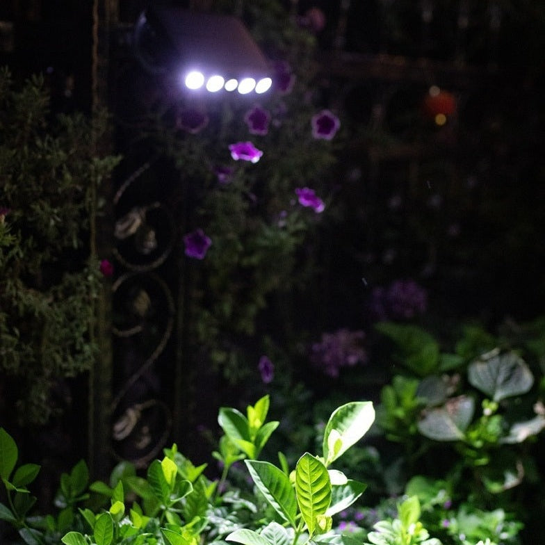 Lampe solaire extérieur à détecteur de mouvement, étanche IP65