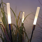 Lampe solaire LED de jardin à planter, étanche IP65, blanc chaud