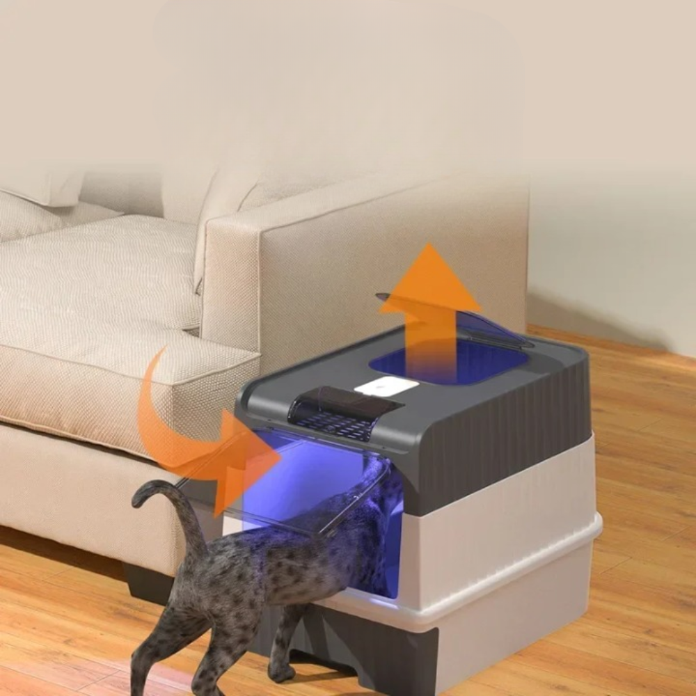Litière autonettoyante pour chat à capteurs, fonctionnement silencieux