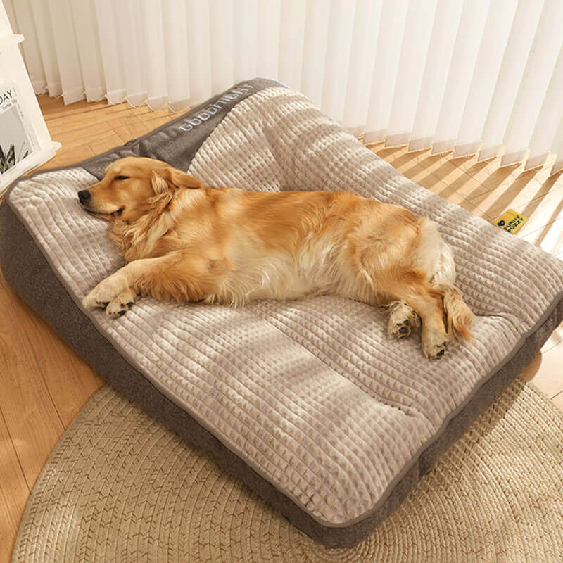 Coussin orthopédique pour grand chien avec rebord, housse lavable