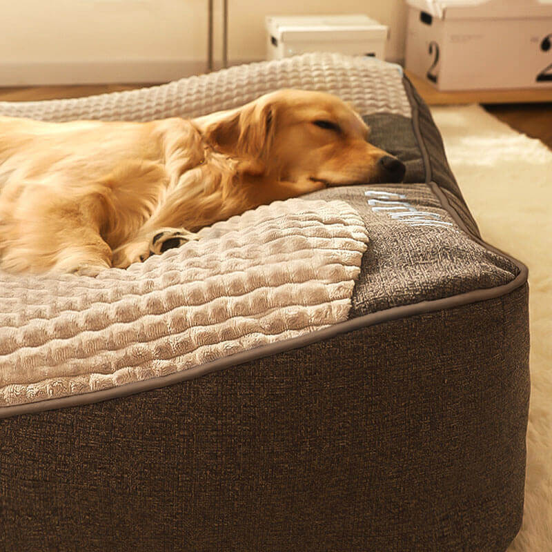 Coussin orthopédique pour grand chien avec rebord, housse lavable