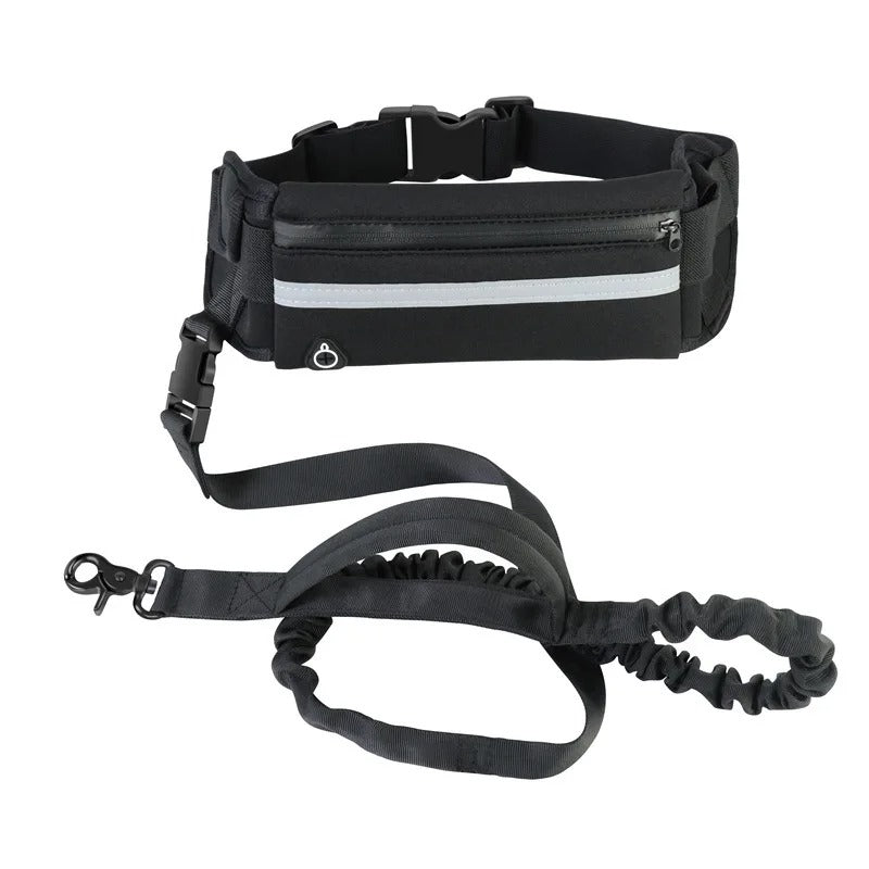Laisse mains libres pour chien, ceinture réglable et laisse élastique, noir