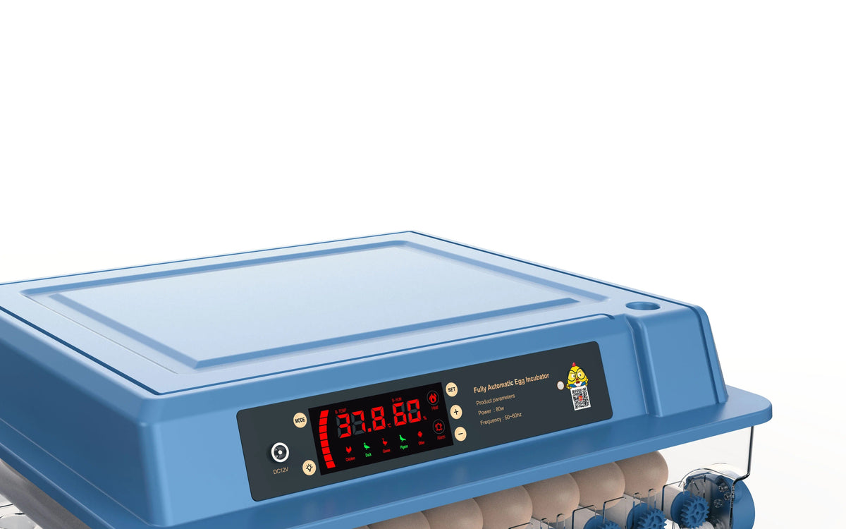 Couveuse automatique 15, 24 ou 36 œufs, retournement auto