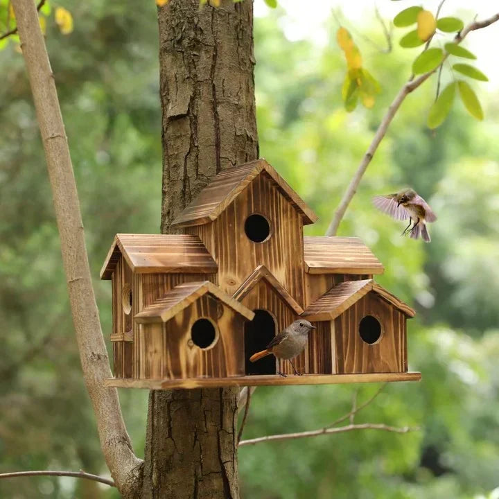 Maison à oiseaux en bois à plusieurs entrées, pour le jardin