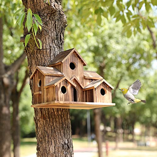 Maison à oiseaux en bois à plusieurs entrées, pour le jardin