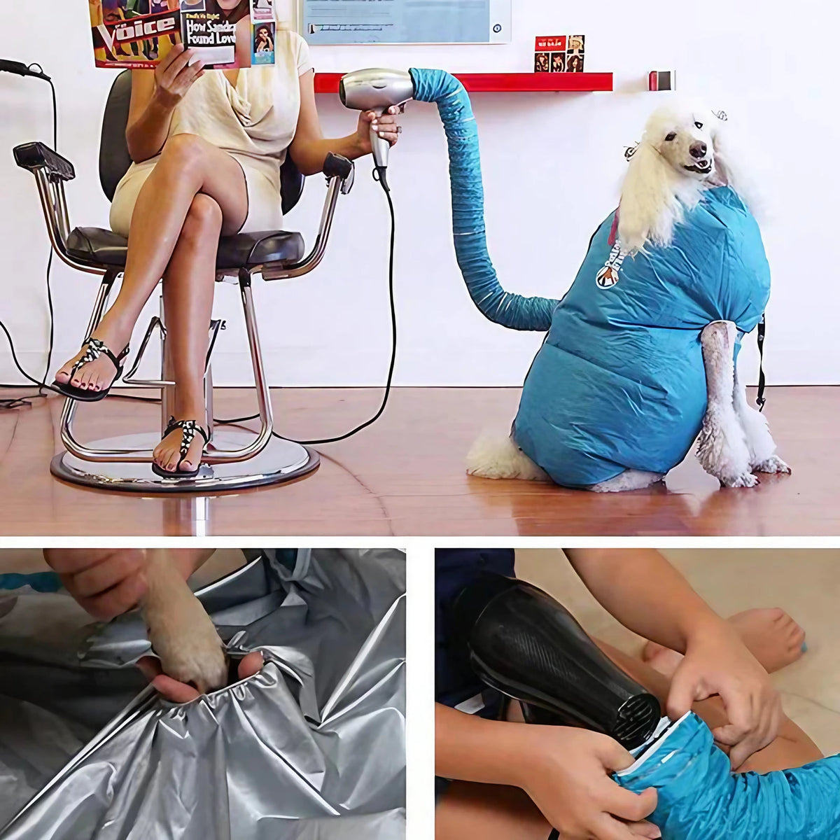 Manteau de séchage pour chien, sangles réglables, du S au L
