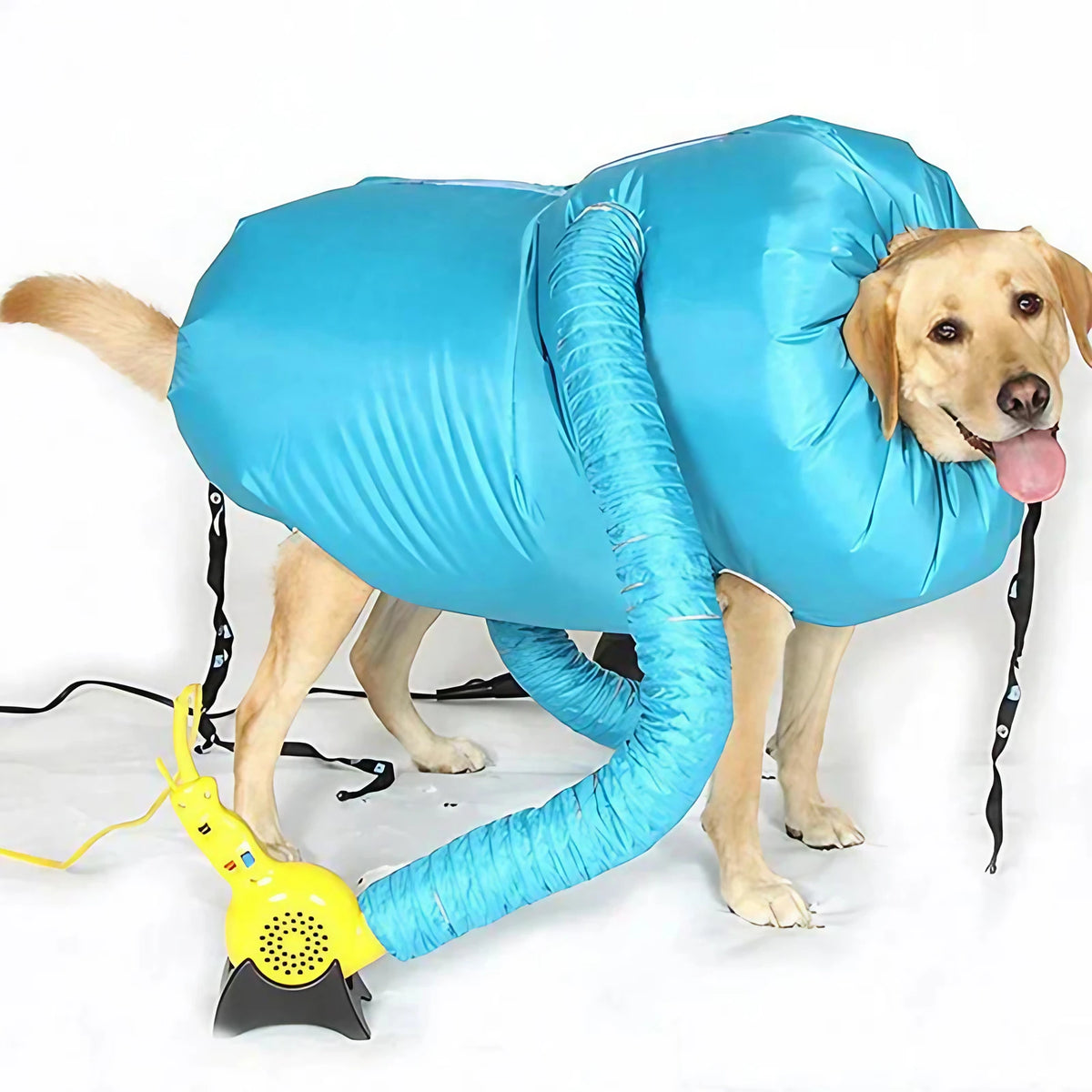 Manteau de séchage pour chien, sangles réglables, du S au L