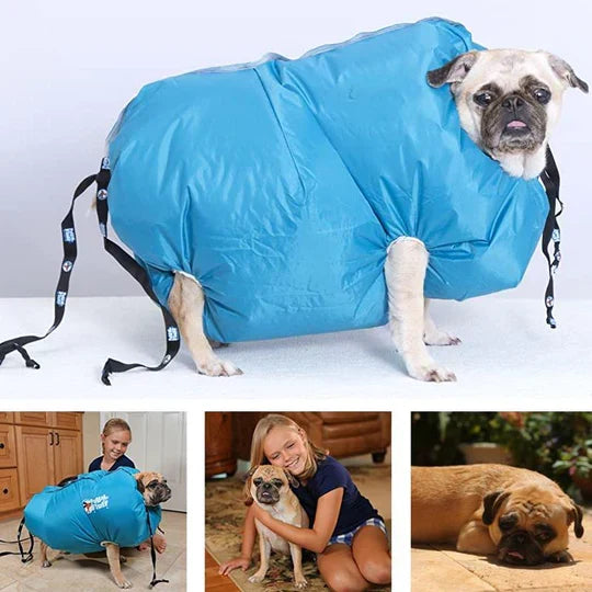 Manteau de séchage pour chien, sangles réglables, du S au L