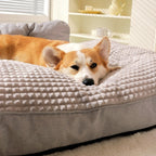 Lit pour chien à bords surélevés, housse lavable, du M au XXL