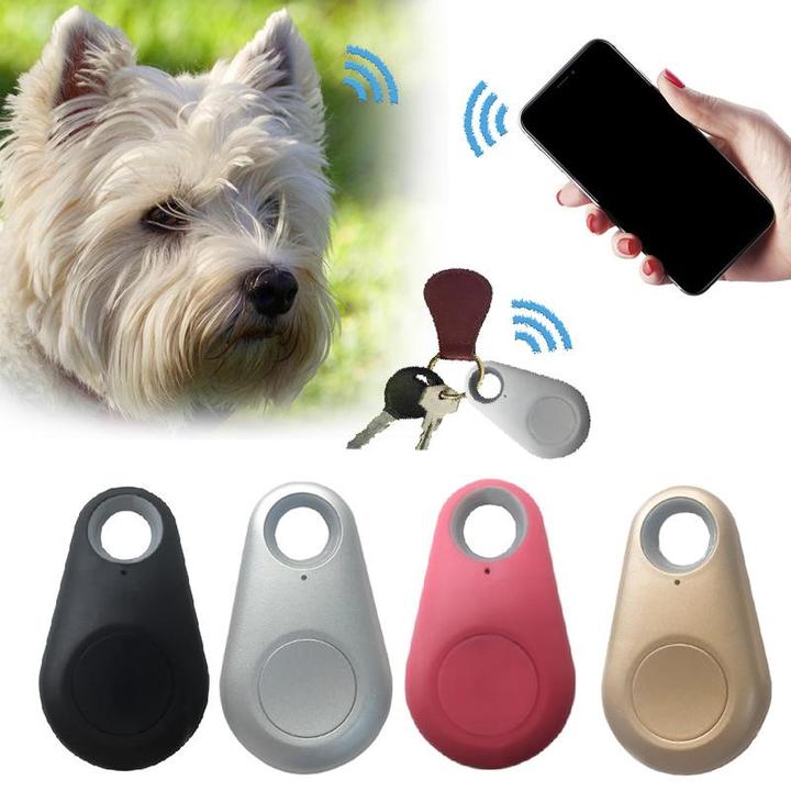 Traceur GPS pour chien et chat, 30 g, à fixer au collier