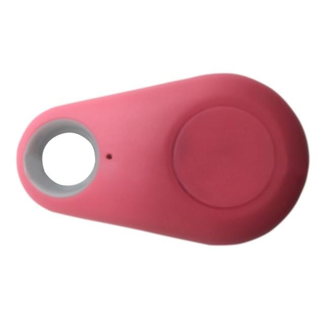 Traceur GPS pour chien et chat, 30 g, à fixer au collier