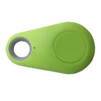 Traceur GPS pour chien et chat, 30 g, à fixer au collier
