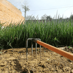 Fourche de jardin en acier, 2, 3 ou 4 dents, manche non inclus