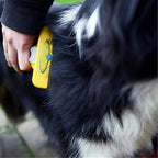 Peigne anti-puces pour chien et chat, dents arrondies