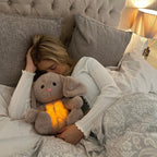 Peluche douce koala ou lapin, 30 cm, lavable en machine