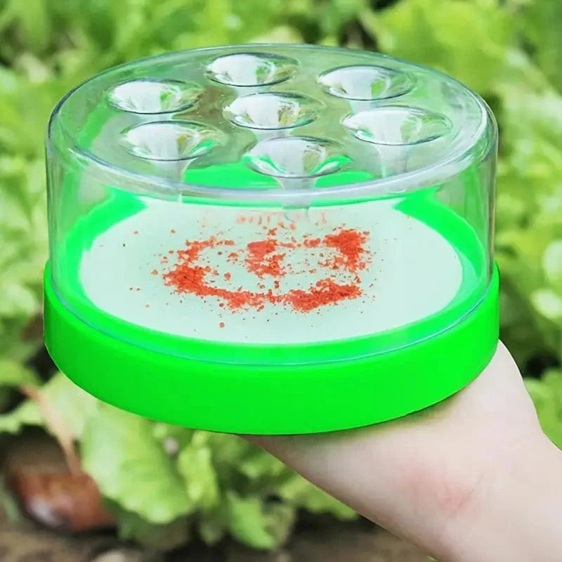 Piège à mouches avec cinq sachets d'appât, pour maison et jardin