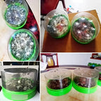 Piège à mouches avec cinq sachets d'appât, pour maison et jardin