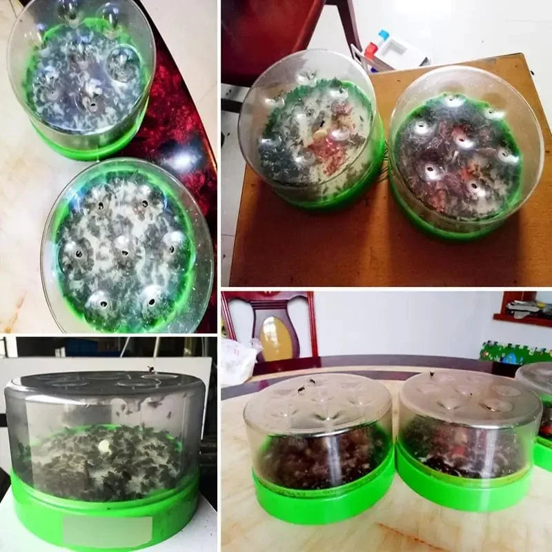 Piège à mouches avec cinq sachets d'appât, pour maison et jardin