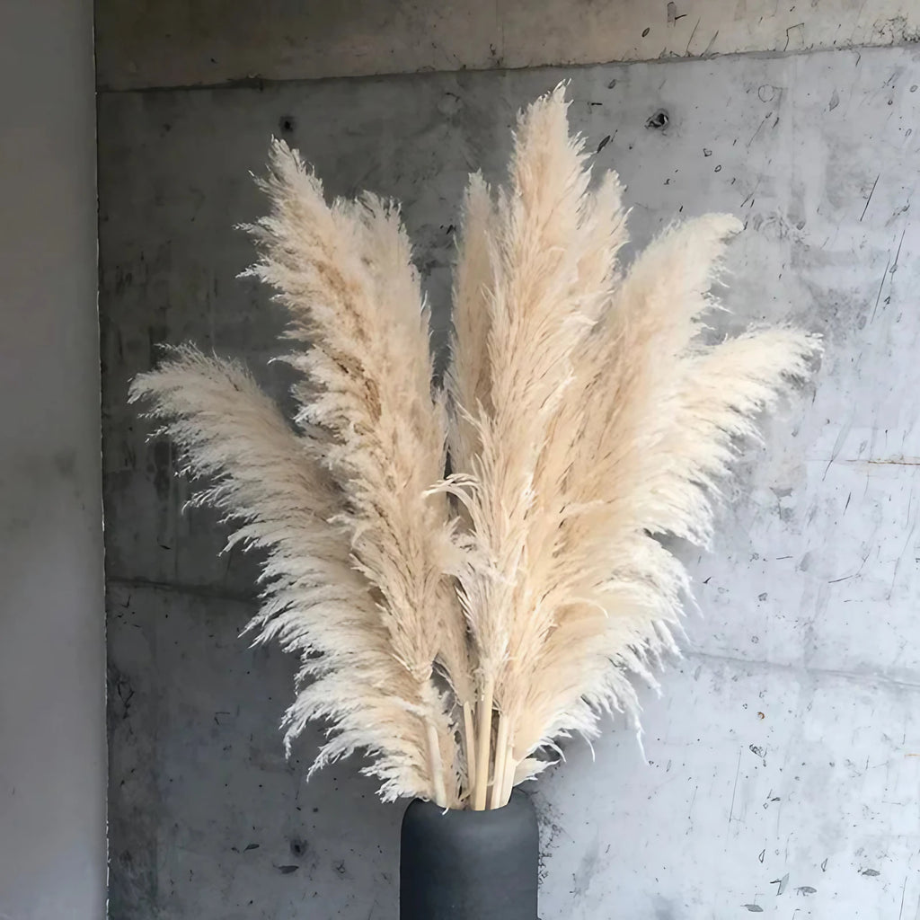 Herbe de pampas séchée, lot de 5, blanc, beige, naturel ou rose, beige