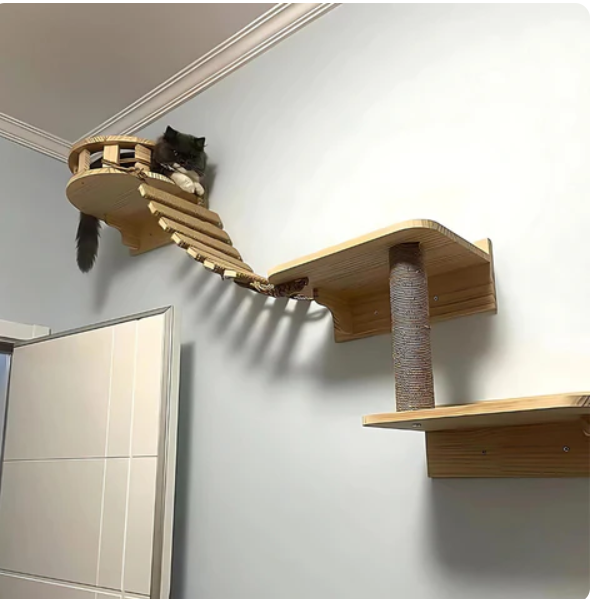 Passerelle murale pour chat avec échelle en sisal, deux longueurs