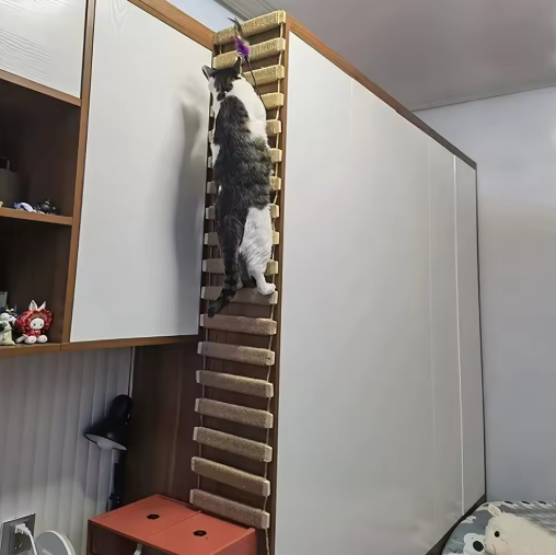 Passerelle murale pour chat avec échelle en sisal, deux longueurs