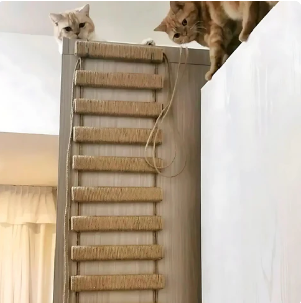 Passerelle murale pour chat avec échelle en sisal, deux longueurs