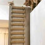 Passerelle murale pour chat avec échelle en sisal, deux longueurs