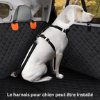 Housse de siège de voiture pour chien, résistante à l'eau