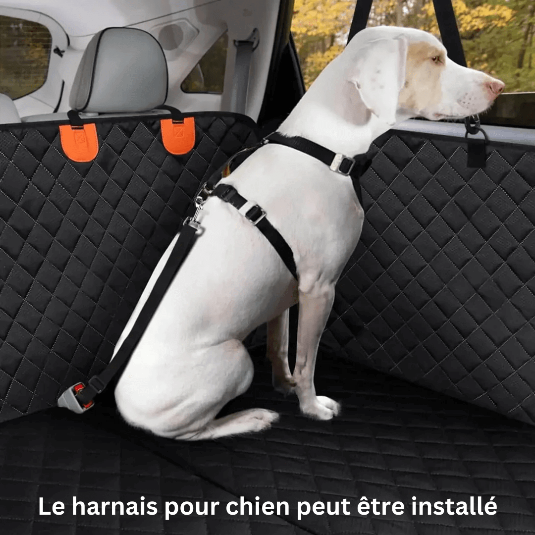 Housse de siège de voiture pour chien, résistante à l'eau