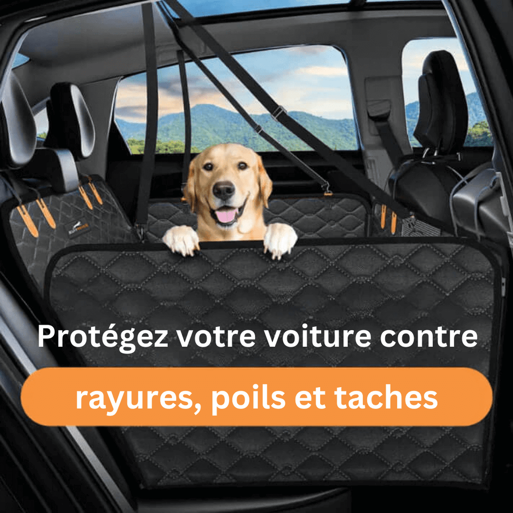 Housse de siège de voiture pour chien, résistante à l'eau