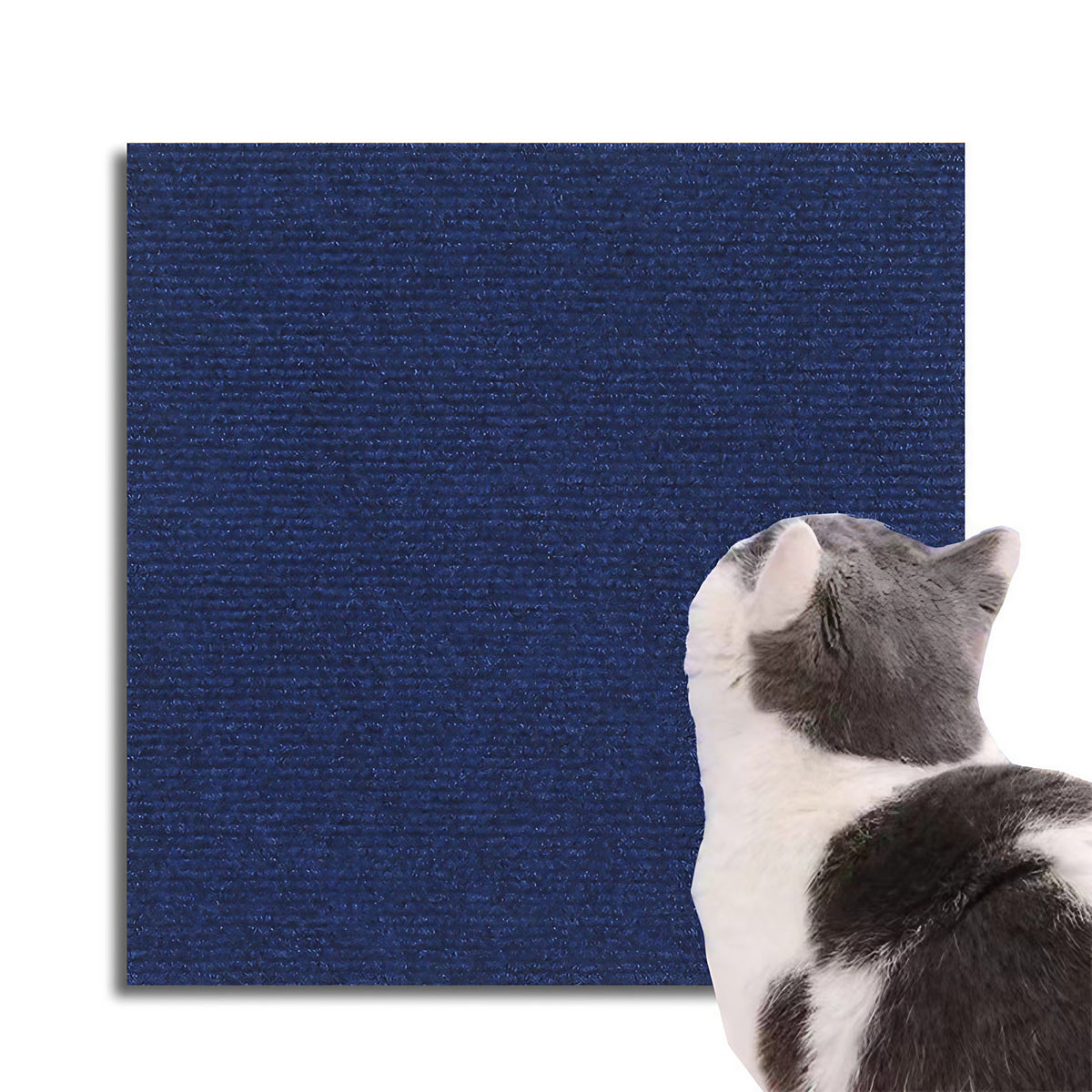 Protection anti-griffes pour meubles, à découper, six formats, bleu foncé