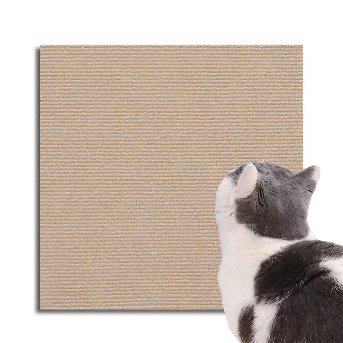 Protection anti-griffes pour meubles, à découper, six formats, beige