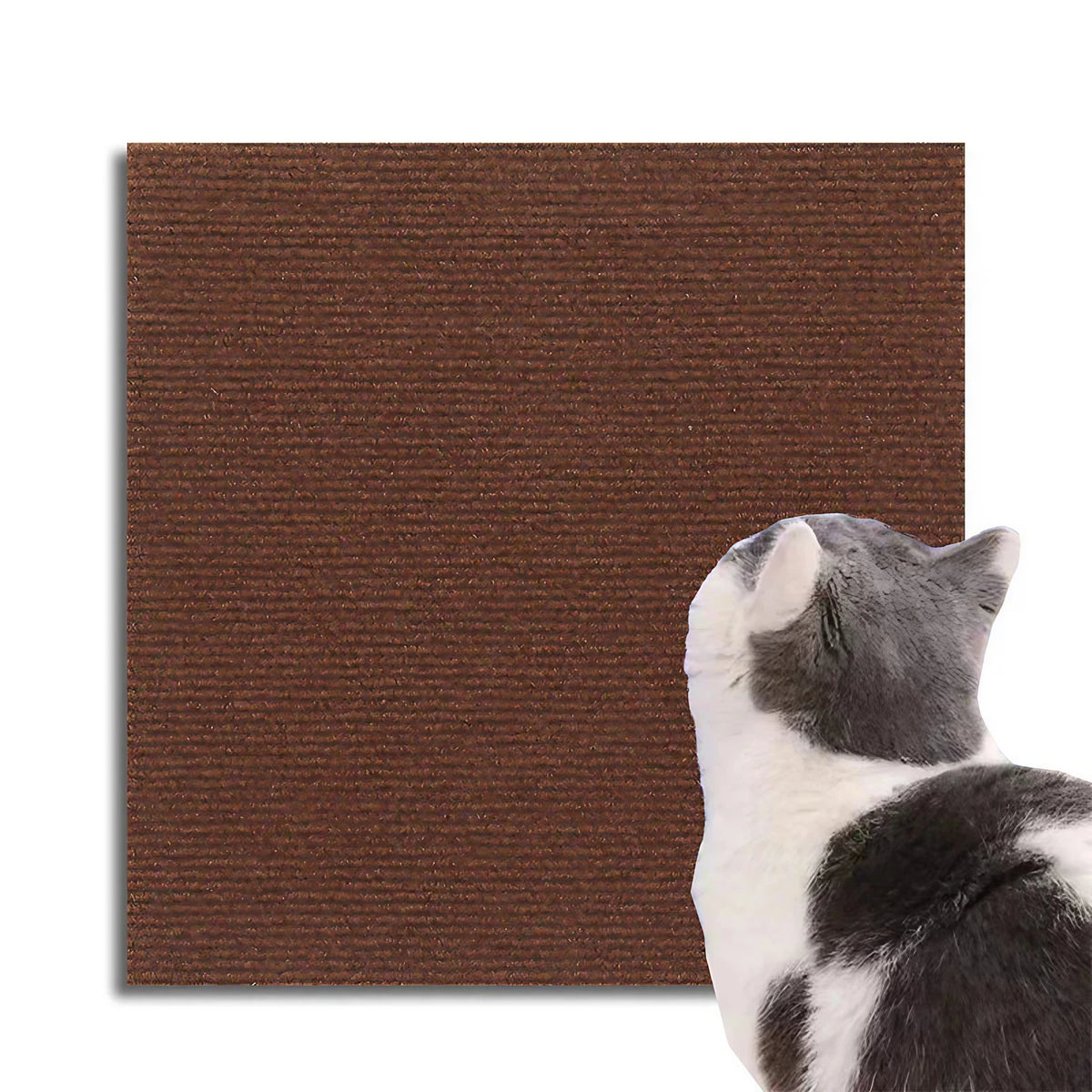 Protection anti-griffes pour meubles, à découper, six formats, marron