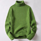 Pull col roulé homme coupe classique, cinq coloris, S au 3XL, vert