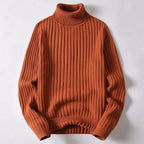 Pull col roulé homme coupe classique, cinq coloris, S au 3XL, brun