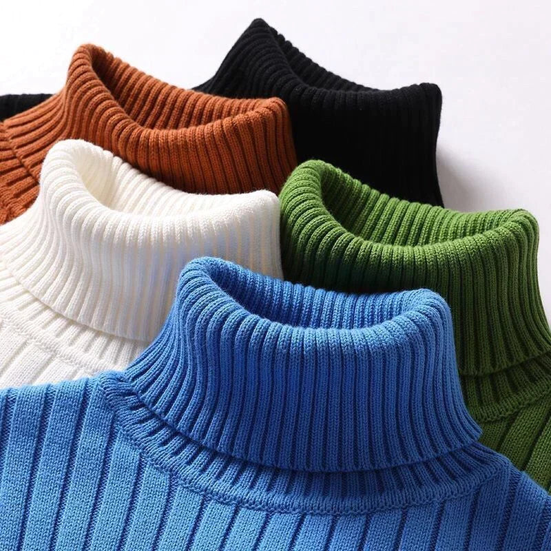 Pull col roulé homme coupe classique, cinq coloris, S au 3XL