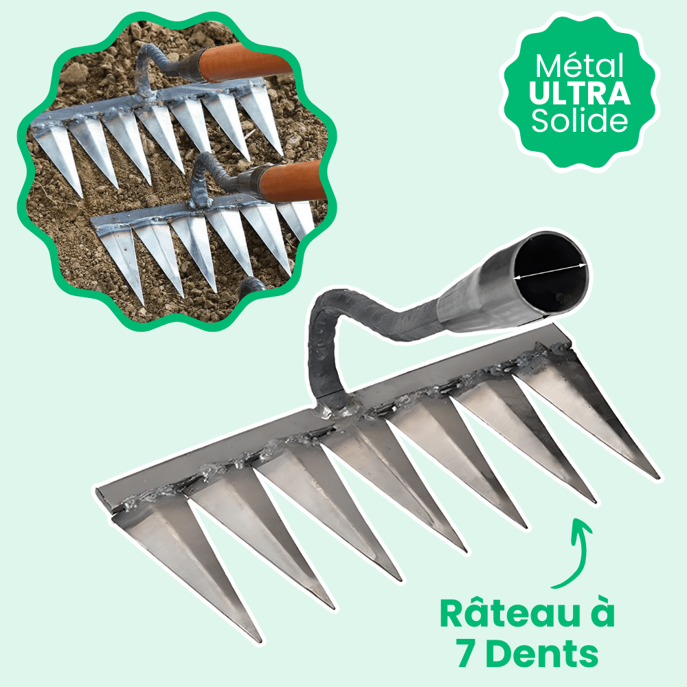 Râteau désherbeur à dents tranchantes, 5, 6 ou 7 dents