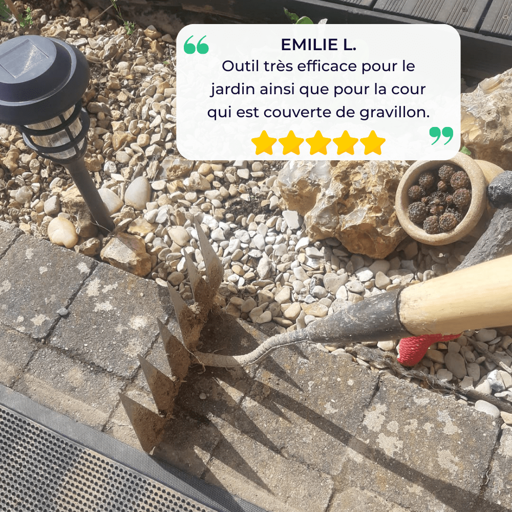 Râteau désherbeur à dents tranchantes, 5, 6 ou 7 dents